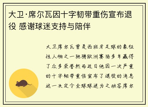 大卫·席尔瓦因十字韧带重伤宣布退役 感谢球迷支持与陪伴 大卫·席尔瓦因十字韧带重伤宣布退役 感谢球迷支持与陪伴